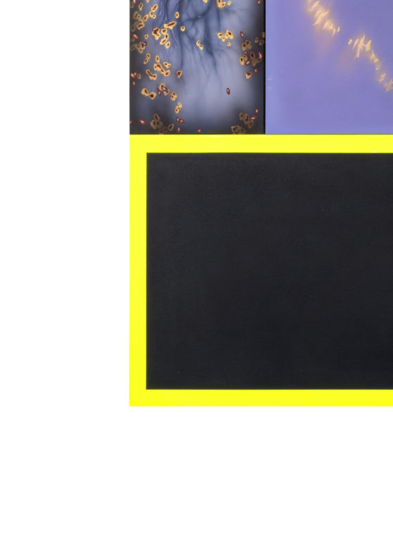 LEENAARDS_RP2023_COUVERTURE SANS TEXTE_16.05.2024_01